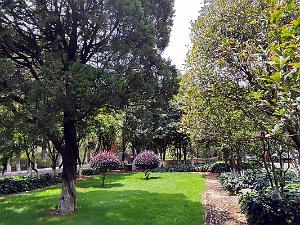 Kunming - Universite du Yunnan (41)